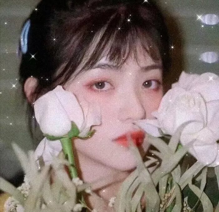 梅子鸡之味