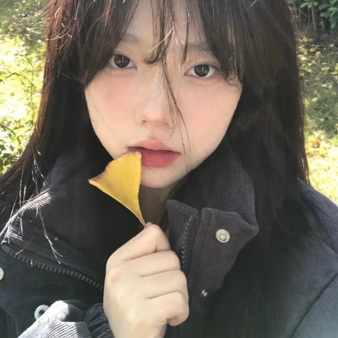 这里那里